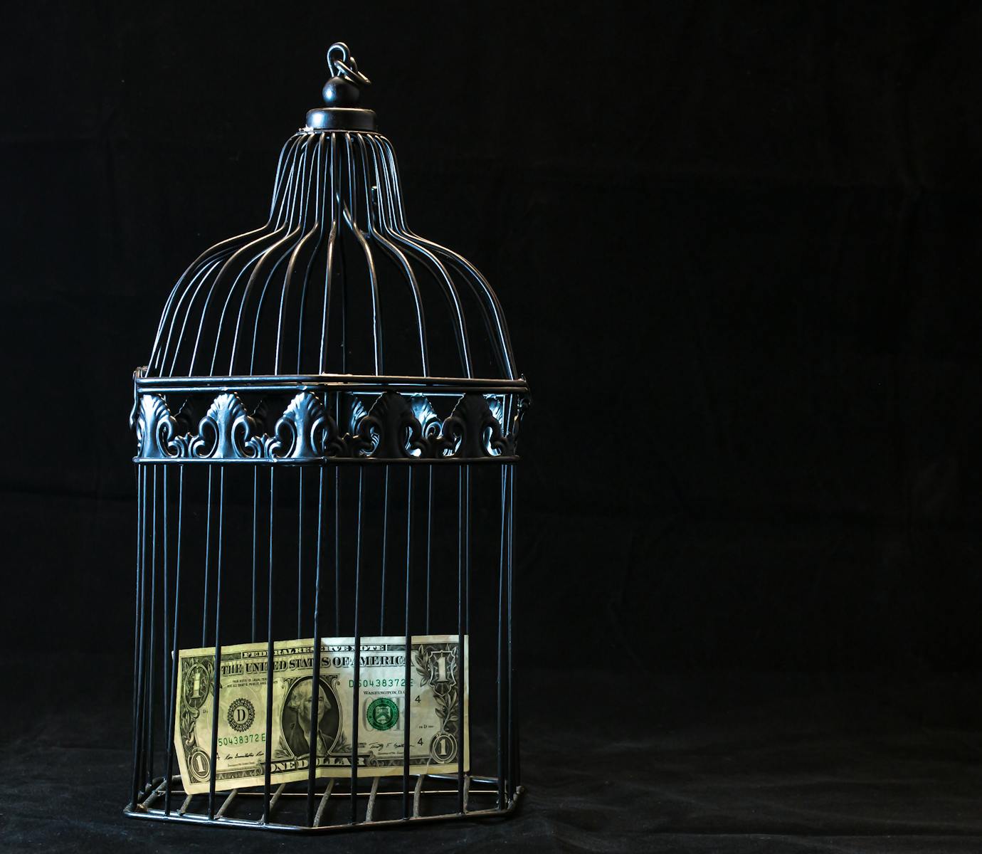 Economic freedom means access to job opportunities and entrepreneurship development