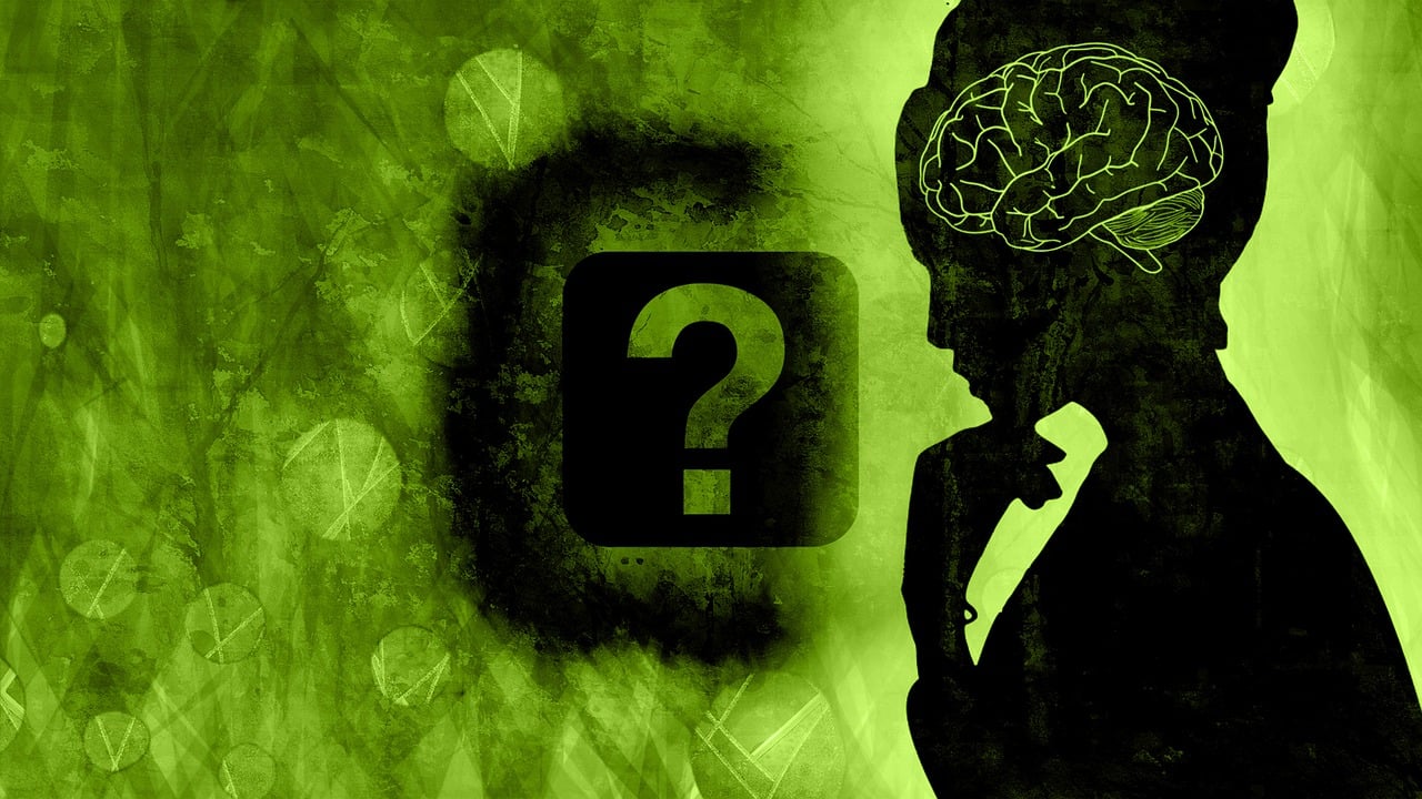 brain, woman, question mark, idea, symbol, intelligence, intellect, logic, wisdom, understanding, question, confusion, mysterious, mind, mindset, mental, psychology, brainstorm, brainstorming, ponder, pondering, reflect, counseling, self care, epiphany, question mark, question mark, intellect, intellect, logic, logic, logic, logic, logic, question, mindset, mindset, mindset, mindset, self care